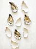 Ceramic Oyster | Decorative Plate in Decorative Objects by Federica Massimi Ceramics. Item made of ceramic works with coastal style