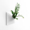 Node L Wall Planter, 12" Mid Century Modern Planter, White | Plant Hanger in Plants & Landscape by Pandemic Design Studio. Item made of stoneware compatible with minimalism and mid century modern style