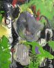 ‘Verdant Magmacious’ | Oil And Acrylic Painting in Paintings by Natalie Reynolds Contemporary Art | Parker Street Studios in Vancouver. Item composed of canvas and synthetic