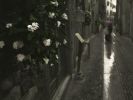 Waiting in the Rain | Photography by DCobble
