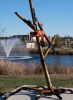Bamboo by Tim 'Frogman' Cotterill, NSG | Public Sculptures by JK Designs and the National Sculptors' Guild | Mercy Park in Joplin