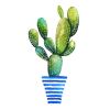 Cactus/Succulent Prints | Prints by Kristine Brookshire Art. Item made of paper