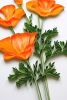 California Poppies on-edge paper art | Wall Sculpture in Wall Hangings by JUDiTH+ROLFE. Item made of paper works with boho & contemporary style