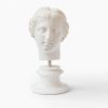 Aphrodite Bust (Louvre Museum) | Sculptures by LAGU. Item composed of marble