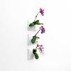 Node M Wall Planter, 9" Modern Plant Wall Set, White | Sculptures by Pandemic Design Studio. Item composed of stoneware in minimalism or mid century modern style