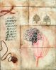 French Notebook | Oil And Acrylic Painting in Paintings by Ann Holsberry. Item made of wood