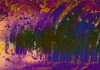 Wonder | Prints by Khosh Design. Item composed of canvas