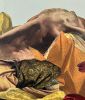Below the Fold | Collage in Paintings by Glen Gauthier. Item composed of canvas and paper in mid century modern or contemporary style
