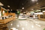 Mediland Auckland | Interior Design by Studio Hiyaku | MSD New Zealand in Auckland