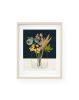 Crystal Floral - Modern Botanicals | Prints by Birdsong Prints. Item made of paper