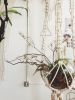 Microsoft Plant Hangers 16' | Plants & Landscape by Modern Macramé by Emily Katz. Item made of cotton