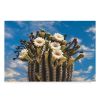 TALK OF THE TOWN | Whimsical Nature Print | Wall Art | Photography by Jess Ansik. Item composed of paper compatible with minimalism and country & farmhouse style