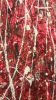 RED CLOUDS | Oil And Acrylic Painting in Paintings by Stefano Gramantieri | London in London. Item made of canvas