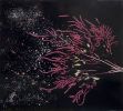 Bloom Boom | Wall Sculpture in Wall Hangings by Marcia Stuermer