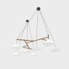 Emily Group of Seven | Chandeliers by Daniel Becker Studio. Item composed of steel in minimalism or mid century modern style