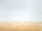 Wind and Reeds | Oil And Acrylic Painting in Paintings by Bella Bigsby. Item composed of canvas and synthetic