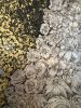 Being Nature | Mixed Media in Paintings by Janine Lambers, Gold