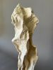 Velo Antico (Ancient Veil) - Plaster Sculpture | Sculptures by Lutz Hornischer - Sculptures in Wood & Plaster. Item composed of walnut & ceramic