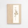 Herbarium: Tanacetum Vulgare - Wall Light Sculpture | Wall Sculpture in Wall Hangings by Mateusz Wappa Design & Research. Item made of birch wood & glass compatible with minimalism and modern style