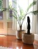Juana's Plant Basket | Planter in Vases & Vessels by Tierra y Mano. Item composed of fiber