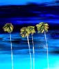 California Gold #3 | Oil And Acrylic Painting in Paintings by Dutch Montana Art | Hugo Rivera Gallery in Laguna Beach. Item made of canvas