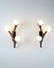Chaparral Wall Sconce | Sconces by Oehl. Item composed of oak wood and copper in minimalism or mid century modern style