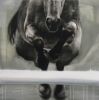 Head On | Oil And Acrylic Painting in Paintings by Patsy McArthur. Item made of wood