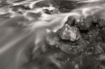 The Stream | Limited Edition Print | Photography by Tal Paz-Fridman | Limited Edition Photography. Item made of paper compatible with country & farmhouse and coastal style