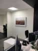 Installation for Financial Institute Office | Paintings by Art Solutions