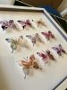Flower Butterfly Box | Wall Hangings by Lorna Doyan