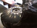 Emerging Ammonite | Sculptures by Jim Sardonis | University of Vermont in Burlington. Item made of marble