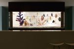 The Box // The Standard | Ornament in Decorative Objects by Caroline Geys | The Standard, Hollywood in West Hollywood