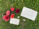 Palette | Ornament in Decorative Objects by Vanillecocola. Item made of ceramic