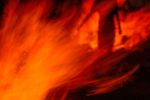 Lag BaOmer I | Limited Edition Print | Photography by Tal Paz-Fridman | Limited Edition Photography. Item made of paper works with boho & contemporary style