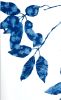 Spring Madrone III (30 x 22" cyanotype painting on paper) | Watercolor Painting in Paintings by Christine So. Item made of paper works with boho & country & farmhouse style