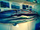 Inlet | Sculptures by Carvinart | Manasquan Beach in Manasquan. Item made of wood