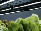 PlantSpectrum | Lighting by Mother. Item composed of aluminum
