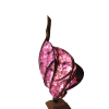 Violet Ember | Lighting by Niksa Design. Item composed of wood and paper in boho or japandi style