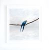 Pondering Parrots | Photography by Alice Zilberberg. Item made of paper