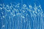 Late Summer Wild Grass Diptych (two 24 x 18" cyanotypes) | Etching in Paintings by Christine So. Item composed of paper in boho or coastal style