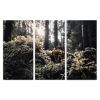 Mushrooms | Triptych | Fine Art Print | Photography by Jess Ansik. Item composed of canvas and aluminum in boho or country & farmhouse style