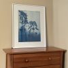 Foggy Morning Pines (18 x 24" Hand-Printed Cyanotype Photo) | Photography by Christine So. Item made of paper works with boho & rustic style