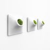 Node S Wall Planter, 6" Modern Plant Wall Set, White | Plant Hanger in Plants & Landscape by Pandemic Design Studio. Item made of stoneware compatible with minimalism and mid century modern style