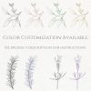 Eucalyptus Study Sketches (Set of 4) - Minimalist Style Art | Prints by Jennifer Lorton Art. Item made of paper works with boho & minimalism style