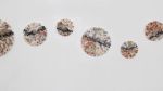 Oak of Autumn | Mixed Media in Paintings by Vero Gonzalez Ugarte. Item composed of linen and paper in contemporary style