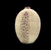Marine Sculptural Vase | Vases & Vessels by Elena Miller. Item composed of ceramic compatible with contemporary and coastal style