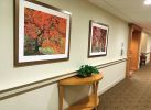 Fellowship Senior Living - Art consulting, framing, installation | Interior Design by Art Solutions | Fellowship Village in Basking Ridge