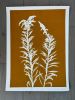 Yellow Wild Flower Print | Prints by Erik Linton. Item composed of paper