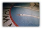 Swan Walk Circular Mosaic Floor Inlay | Public Mosaics by Paul Siggins - The Mosaic Studio | Swan Walk in Horsham. Item made of ceramic