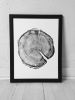 Uinta Mountains Tree Ring Print | Prints by Erik Linton. Item composed of paper